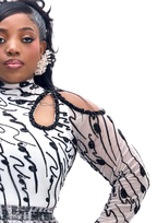 The NSE Signature Set
